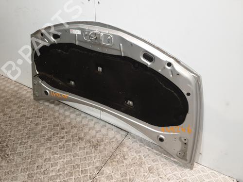 Hood RENAULT CLIO III (BR0/1, CR0/1) 1.5 dCi | BP22596135C1 