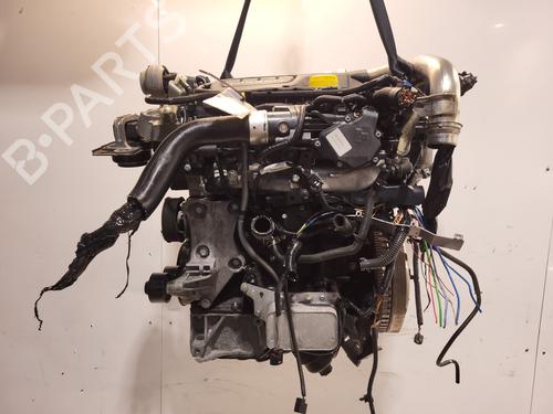 Motor NISSAN QASHQAI I (J10, NJ10) 1.6 dCi All-wheel Drive (130 hp) 31128505