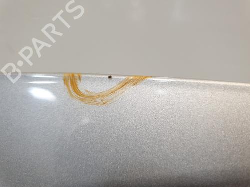 Hood RENAULT CLIO III (BR0/1, CR0/1) 1.5 dCi (C/BR0G, C/BR1G) | BP26191919C1 