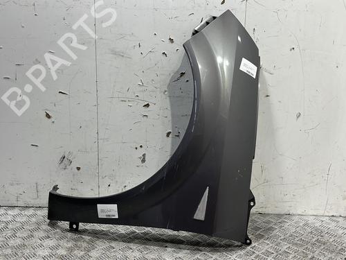 Left front fenders RENAULT SCÉNIC II (JM0/1_) 1.9 dCi (JM0G, JM12, JM1G, JM2C) | BP20382880C41 