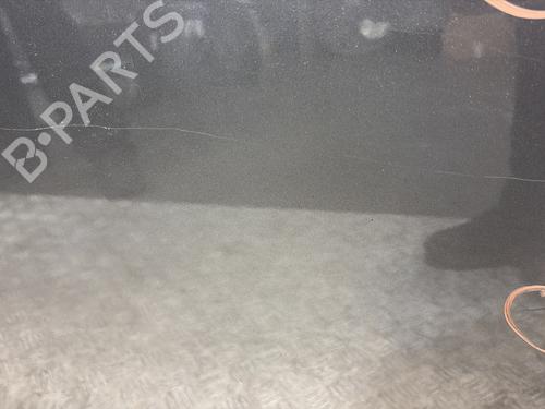 Right front door RENAULT SCÉNIC III (JZ0/1_) 1.5 dCi | BP29053711C3 