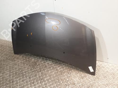 Hood RENAULT CLIO III (BR0/1, CR0/1) 1.5 dCi (C/BR0G, C/BR1G) | BP25130255C1 