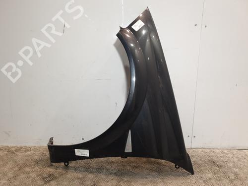 Used Left front fenders RENAULT MEGANE II Coupé-Cabriolet (EM0/1_) 1.9 dCi (131 hp) 20374692