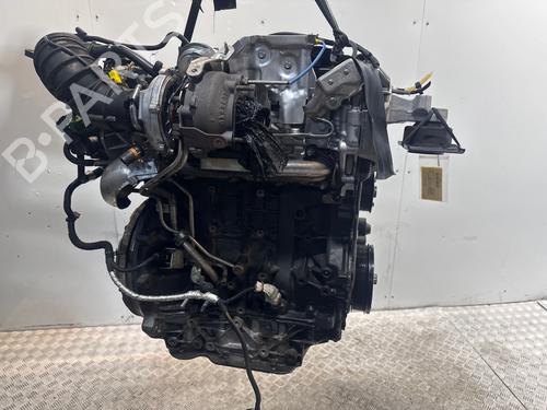 Engine RENAULT LAGUNA Coupe (DT0/1) 2.0 dCi (DT01, DT08, DT09, DT0K, DT12, DT1C, DT1D, DT1M,... | BP38265236M1 - Image 4