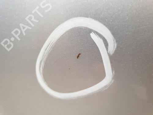 Right rear door MERCEDES-BENZ C-CLASS (W203) C 200 CDI (203.004) | BP25892088C5 