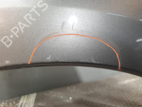 Left front fenders RENAULT SCÉNIC III (JZ0/1_) 1.5 dCi (JZ02, JZ0R) | BP30193440C41 