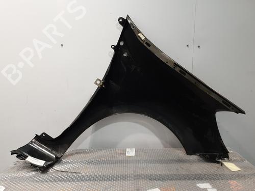 Left front fenders RENAULT CLIO III (BR0/1, CR0/1) 1.2 16V (BR02, BR0J, BR11, CR02, CR0J, CR11) | BP30193330C41 