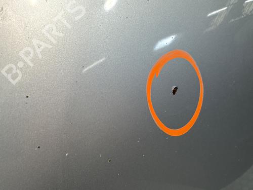 hood-renault-scenic-iii-jz01_-2008-2009-2010-2011-2012-2013-2014-2015-2016-36802116 main image
