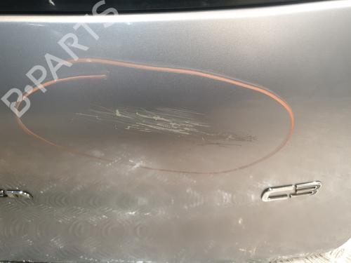 Tailgate CITROËN C3 III Van (SX_, SY_) BlueHDi 100 | BP29893286C6