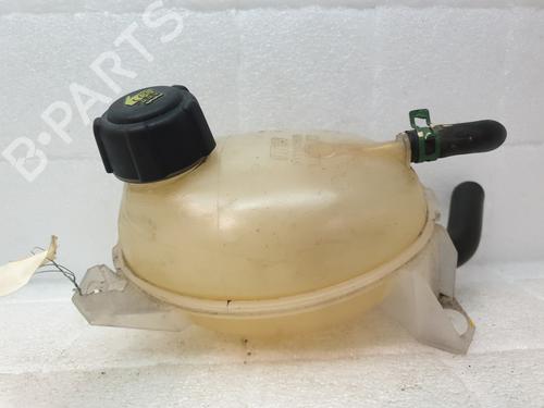Ekpansionstank DACIA SANDERO II TCe 90 (B8M1, B8MA, B8AC) (90 hp) 21820530