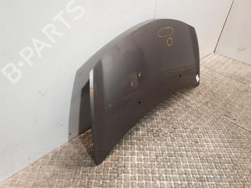 Hood RENAULT CLIO III (BR0/1, CR0/1) 1.5 dCi (C/BR0G, C/BR1G) | BP25130255C1 