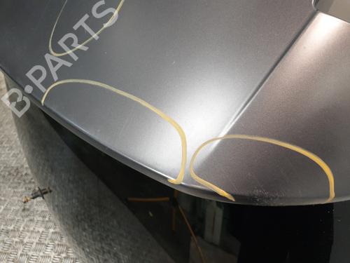 Tailgate LANCIA DELTA III (844_) 1.9 D Multijet (844.AXE1A) | BP24857403C6 
