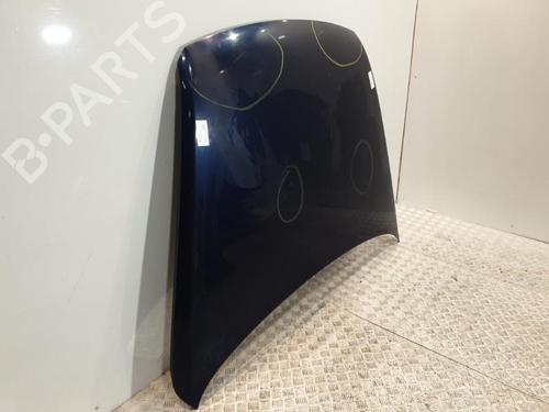 Hood VW TOUAREG (7LA, 7L6, 7L7) 2.5 R5 TDI | BP21973645C1 
