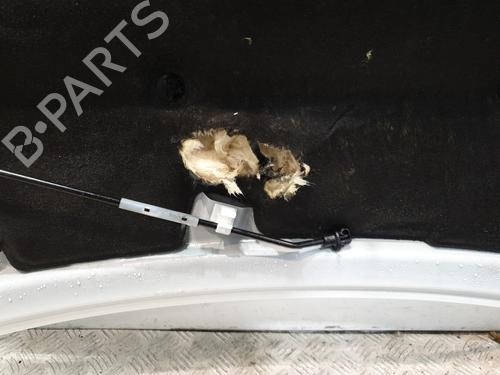 Hood TOYOTA AYGO X (_B7_) 1.0 VVT-i (KGB70) | BP29699526C1 
