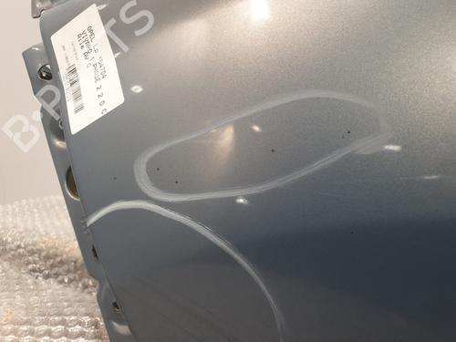 Aleta delantera izquierda OPEL VIVARO A Van (X83) 2.0 CDTI (F7) | BP30931208C41 