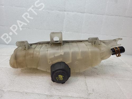 Used Expansion tank Expansion tank RENAULT CLIO III (BR0/1, CR0/1) 1.5 dCi (75 hp) 21798881 21798881