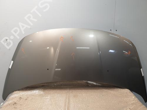 BP31935582C1 main image