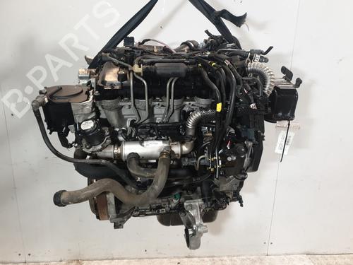 Engine CITROËN BERLINGO MULTISPACE (B9) 1.6 HDi 110 | BP31695997M1 - Image 6
