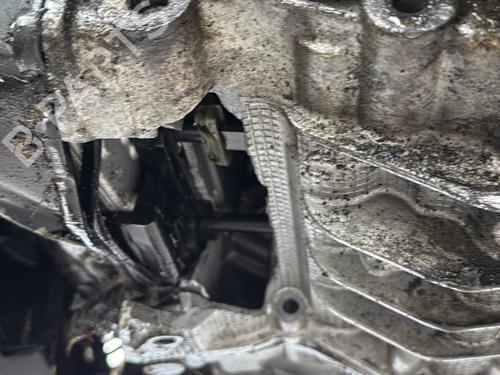 Engine AUDI A3 (8V1, 8VK) 2.0 TDI | BP32364666M1 - Image 19