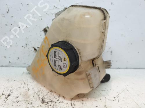Used Expansion tank FORD FIESTA VI (CB1, CCN) 1.4 TDCi (68 hp) 20724760
