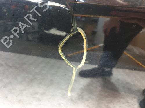 Left front door BMW 5 Touring (E61) 530 d | BP21973759C2 