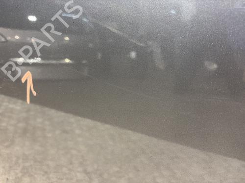 Right front door RENAULT SCÉNIC III (JZ0/1_) 1.5 dCi | BP29053711C3 
