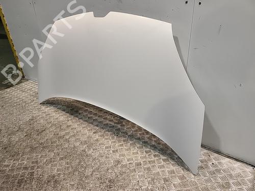 Used Hood Hood RENAULT KANGOO Express (FW0/1_) [2008-2026] 36763291 36763291