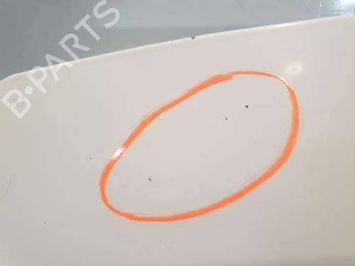 Hood FIAT DOBLO Cargo (263_) 1.6 D Multijet (263WXD1B, 263WXR1B, 263WXX1B, 263ZXD1B,... | BP30091143C1 