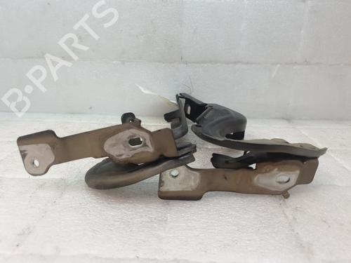 hingedoor-check-strap-citroen-c3-iii-sx-2016-27893600 main image