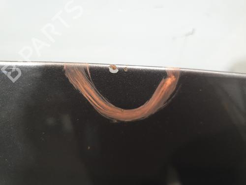 Hood RENAULT SCÉNIC III (JZ0/1_) 1.5 dCi (JZ02, JZ0R) | BP30146700C1 