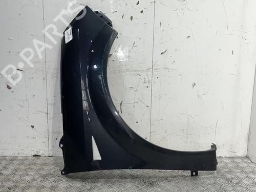 Right front fenders RENAULT SCÉNIC II (JM0/1_) 1.9 dCi (JM14) | BP20378948C42 