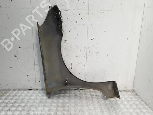 Left front fenders PEUGEOT 307 (3A/C) 1.6 16V | BP20382601C41 