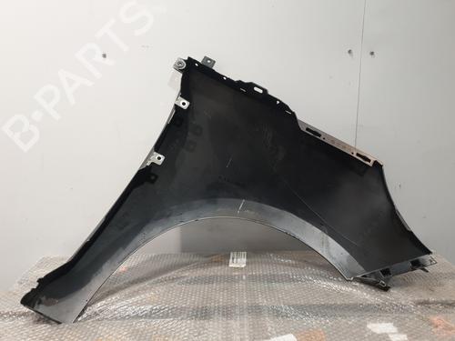Left front fenders RENAULT SCÉNIC III (JZ0/1_) 1.5 dCi (JZ02, JZ0R) | BP30193440C41 