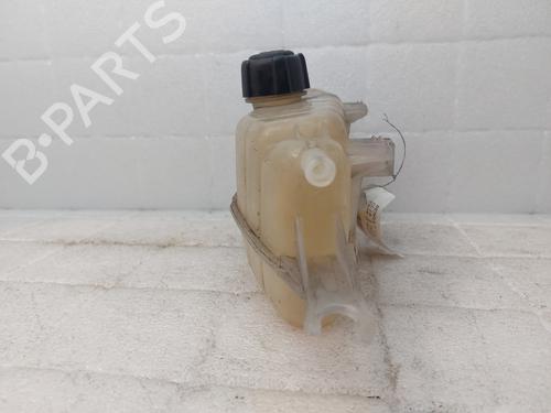 Expansion tank RENAULT CLIO III (BR0/1, CR0/1) 1.2 16V | BP22185559C120 