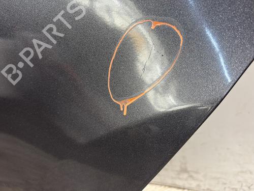 Left rear door FORD FIESTA VI (CB1, CCN) 1.5 TDCi | BP29415573C4 