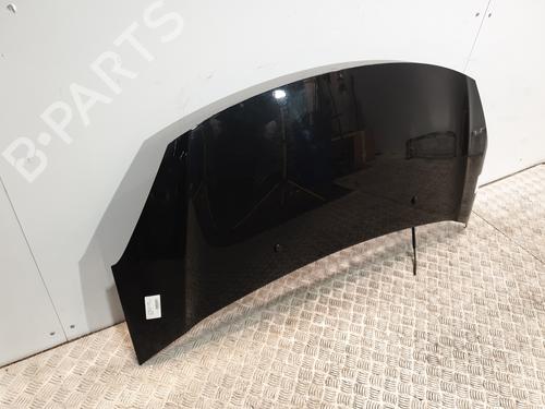 Hood CITROËN DS3 (SA_) 1.6 HDi 110 | BP22990784C1