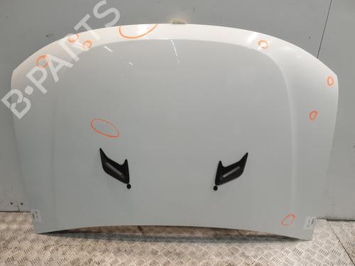 Used Hood DACIA DUSTER (HS_) 1.6 16V Hi-Flex (105 hp) 30146675