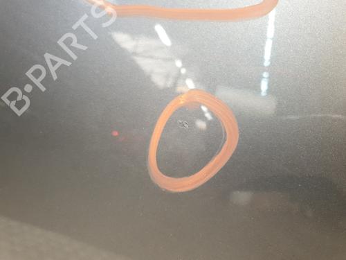 Right rear door RENAULT SCÉNIC III (JZ0/1_) 1.5 dCi (JZ02, JZ0R) | BP30193439C5 