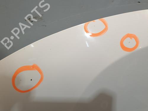 Hood DACIA DUSTER (HS_) 1.6 16V Hi-Flex | BP30146675C1 