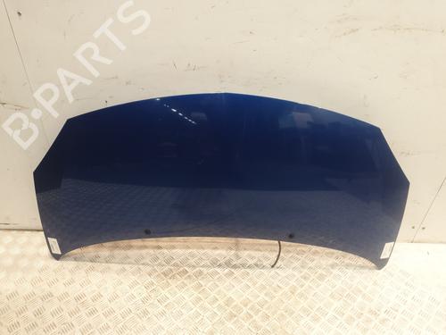 Panser RENAULT TWINGO II (CN0_) 1.6 RS (CN0N, CN0R, CN0S) (133 hp) 30804805