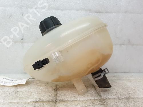 Expansion tank RENAULT TWINGO III (BCM_, BCA_) 0.9 TCe 95 | BP24878274C120 