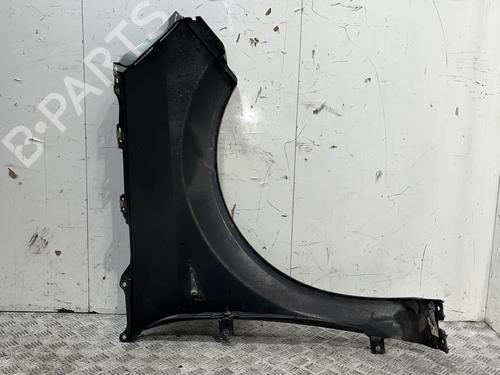 Left front fenders RENAULT SCÉNIC II (JM0/1_) 1.9 dCi (JM0G, JM12, JM1G, JM2C) | BP20382880C41 