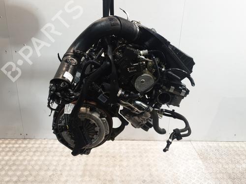 Engine FIAT PANDA (169_) 1.3 D Multijet (169.AXC1A) | BP30061134M1