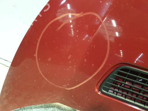 Hood PEUGEOT EXPERT Van (VF3A_, VF3U_, VF3X_) 2.0 HDi 120 | BP29415626C1 