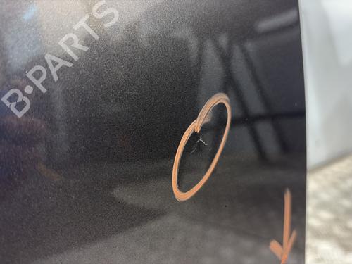 Right rear door RENAULT SCÉNIC III (JZ0/1_) 1.5 dCi | BP29053713C5 