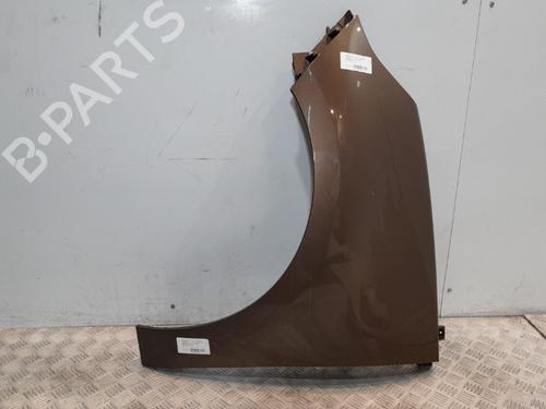Left front fenders RENAULT SCÉNIC III (JZ0/1_) 1.5 dCi | BP20381581C41 