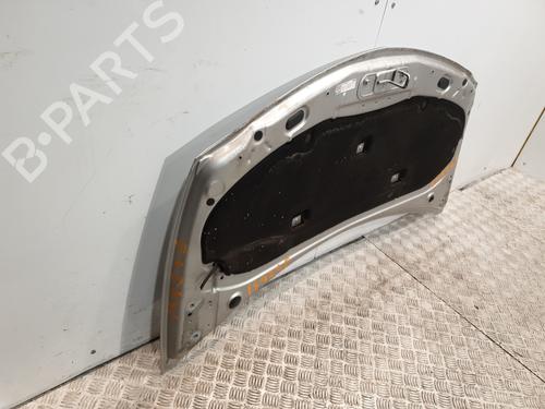 Hood RENAULT CLIO III (BR0/1, CR0/1) 1.5 dCi | BP22596135C1 