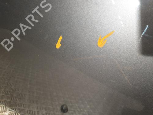 Hood RENAULT CLIO III (BR0/1, CR0/1) 1.5 dCi (C/BR0G, C/BR1G) | BP25130255C1 