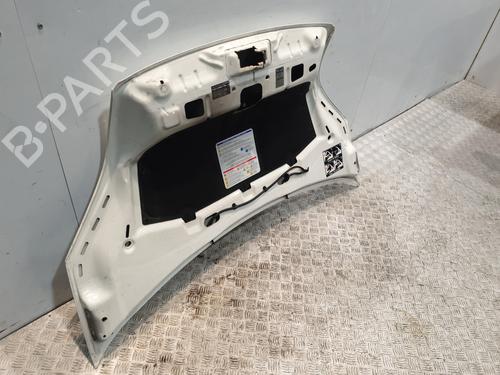 Motorhjelm CITROËN NEMO Box Body/MPV (AA_) 1.3 HDi 75 | BP30536939C1 