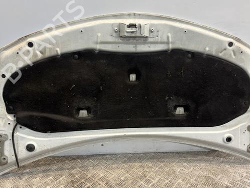 Hood RENAULT CLIO III (BR0/1, CR0/1) 1.5 dCi | BP20381293C1 